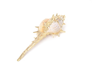 Large Natural Conch Shell Charm Pendant in Gold Filled