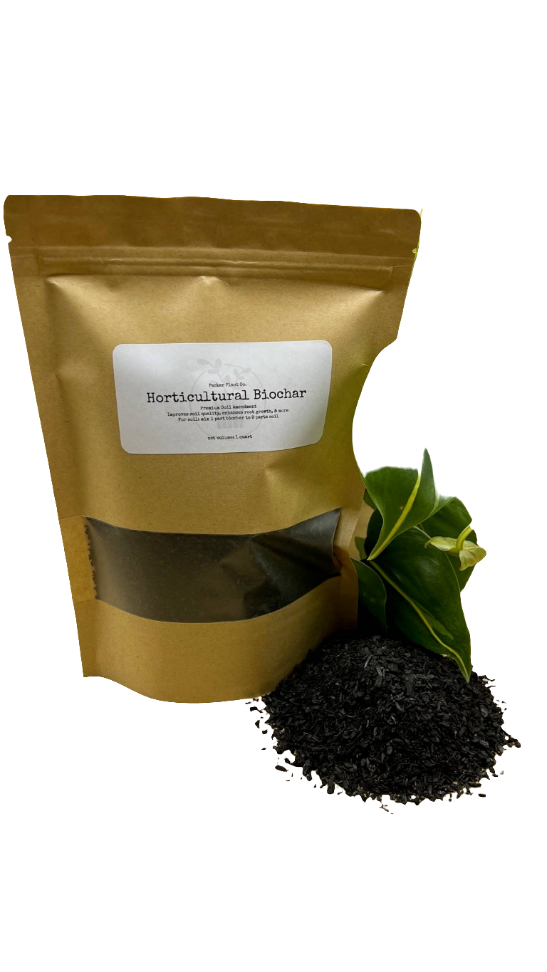 Studio|Horticultural Charcoal Biochar for Houseplants & Terrariums