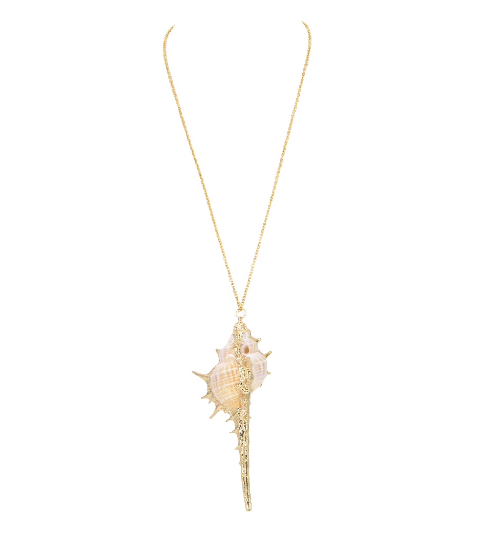 Large Natural Conch Shell Charm Pendant in Gold Filled